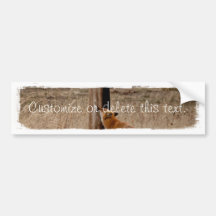 Fox Loves Utility Pole; Customizable Bumper Sticker