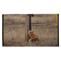 Fox Loves Utility Pole iPad Folio Covers