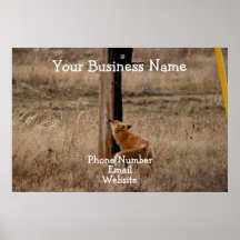 Fox Loves Utility Pole; Promotional Poster