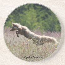 Fox on the Hunt! coasters