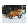 Fox Postcards