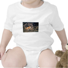 Fox rouge t-shirt