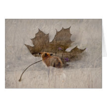 Fox Sniffing the Crocuses Greeting Cards