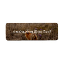 Fox Sniffing the Crocuses Return Address Labels