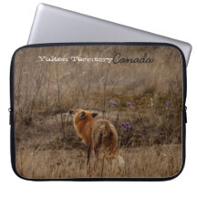Fox Sniffing the Crocuses; Yukon Souvenir Laptop Computer Sleeves