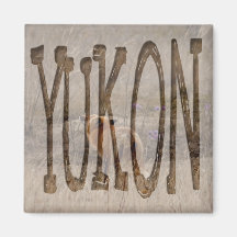 Fox Sniffing the Crocuses; Yukon Souvenir Magnets