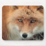 Fox Species Mouse Pad