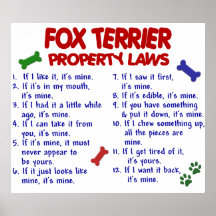 FOX TERRIER PL2 POSTER