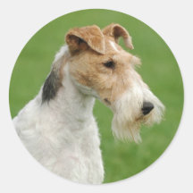 Fox Terrier Round Stickers