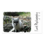 Fox Watching You Business Cards