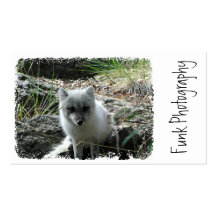Fox Watching You Business Cards