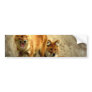 Foxes Bumper Stickers
