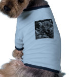 Foxes / Wolves / Coyotes ? Dog T Shirt