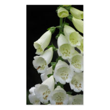 Foxglove and bee business card