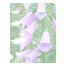 Foxglove Flowers Customized Letterhead