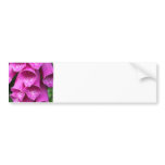 Foxglove Plant Bumper Sticker
