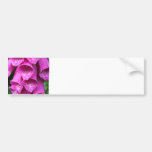 Foxglove Plant Bumper Sticker