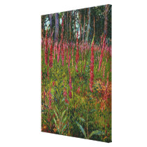 Foxgloves, c.1916 (oil on canvas) canvas prints