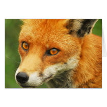 Foxy Lady Card