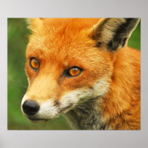 Foxy Lady Posters