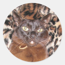 FPG Burmese 3 - Round Stickers