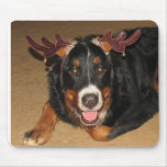 FPG Xmas Bernese - Mousepad