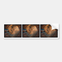 Fractal Butterfly Bumper Stickers