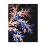 Fractal fern