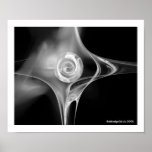 FRACTAL ROSE , black and white Print