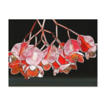Fractalius Angel Wing Flowers Postcard