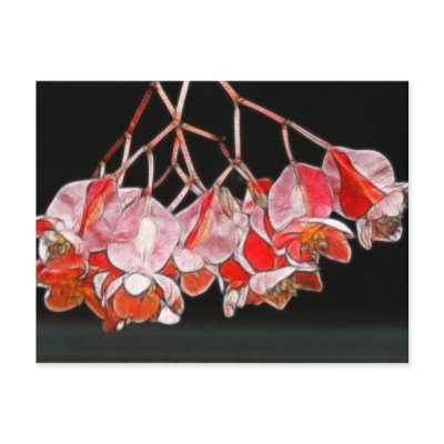 Fractalius Angel Wing Flowers Postcard by BettyCruz