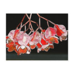 Fractalius Angel Wing Flowers postcards