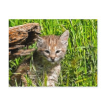 Fractalius Bobcat Post Card