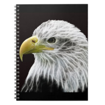 Fractalius Eagle Note Books