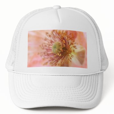 Fragile Bloom - Spring Poppy by Pretty_World