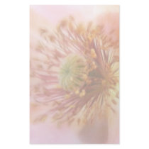 Fragile Bloom - Spring Poppy