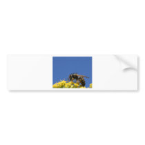 Fragile Bumper Sticker
