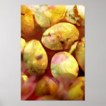 Fragile Feast posters