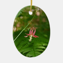 Fragile Wild Columbine Ornaments