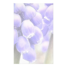 Fragrant Muscari Blooms Customized Stationery