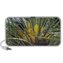 Fragrant yellow palm tree flowers PC speakers