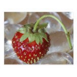 Fraise sur la glace carte postale