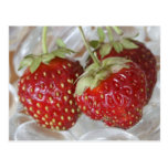 Fraises Carte Postale