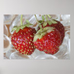 Fraises Posters