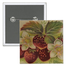 Fraises vintages badges