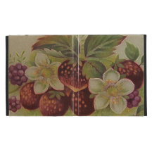 Fraises vintages coque iPad