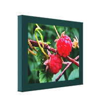 Framboises sauvages impression sur toile