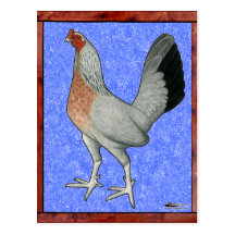 Framed Game Hen Post Cards