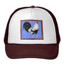 Framed Gamecock Hat