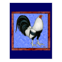Framed Gamecock Postcards